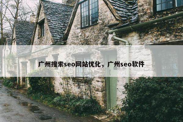 广州搜索seo网站优化，广州seo软件