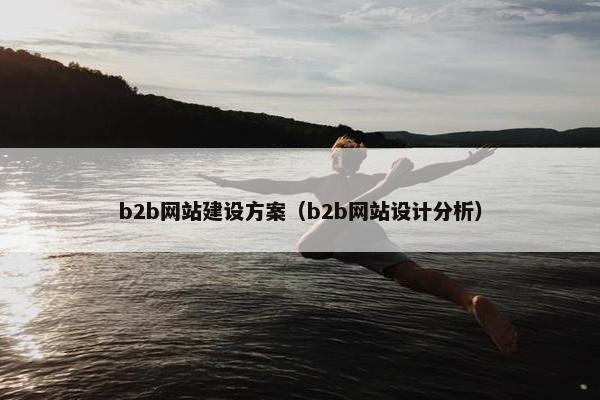 b2b网站建设方案（b2b网站设计分析）
