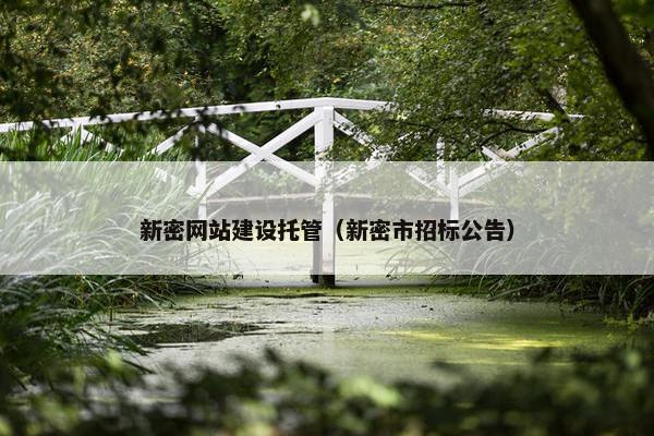 新密网站建设托管（新密市招标公告）