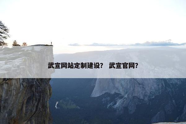 武宣网站定制建设？ 武宣官网？