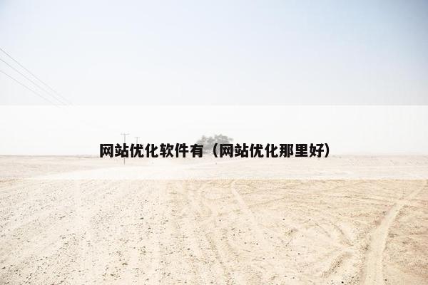 网站优化软件有（网站优化那里好）