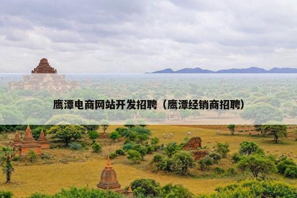 鹰潭电商网站开发招聘（鹰潭经销商招聘）