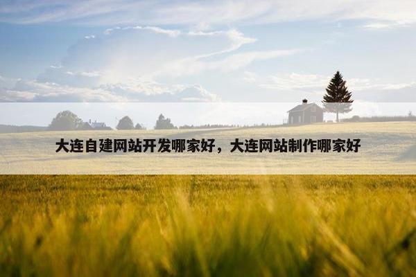 大连自建网站开发哪家好，大连网站制作哪家好