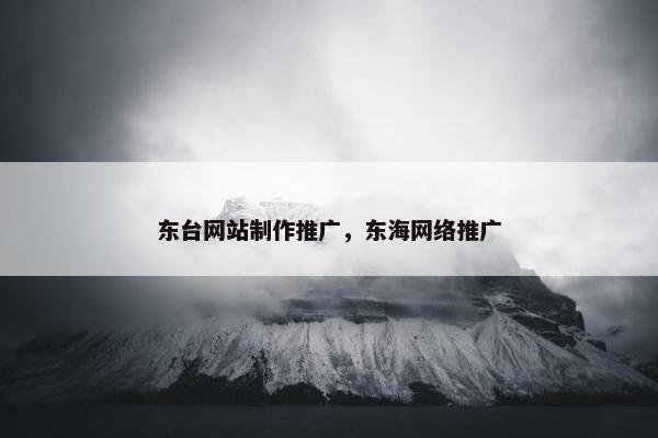 东台网站制作推广，东海网络推广