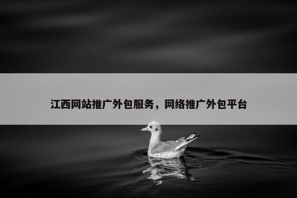 江西网站推广外包服务，网络推广外包平台