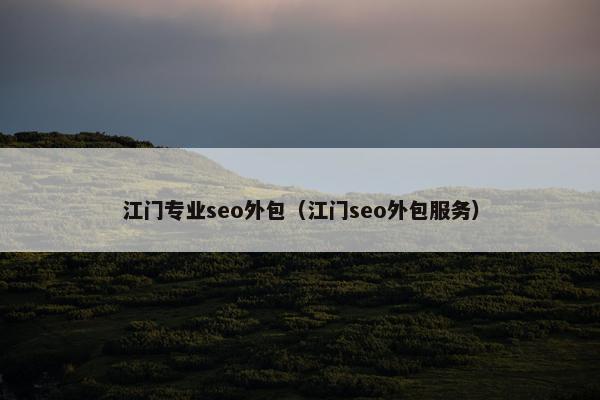 江门专业seo外包（江门seo外包服务）