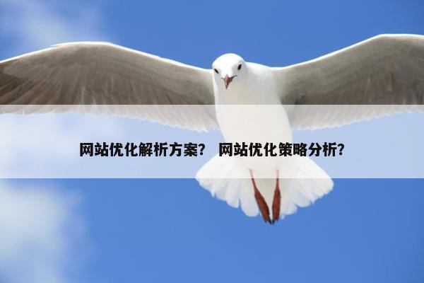 网站优化解析方案？ 网站优化策略分析？