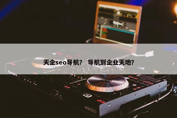 天企seo导航？ 导航到企业天地？