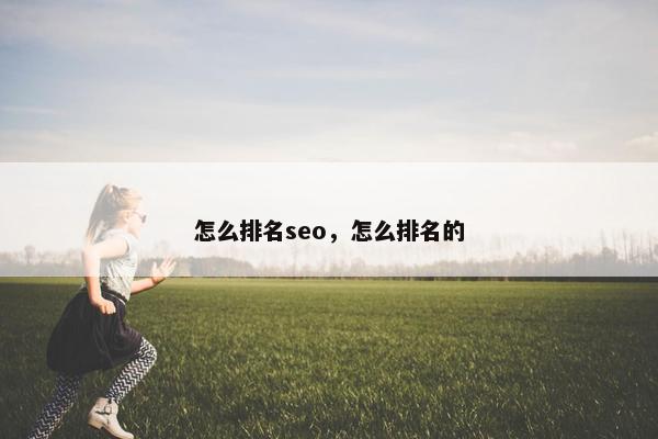 怎么排名seo，怎么排名的