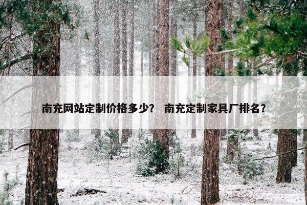 南充网站定制价格多少？ 南充定制家具厂排名？