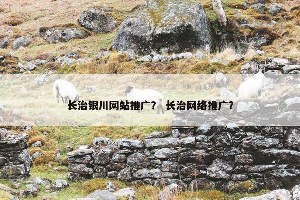长治银川网站推广？ 长治网络推广？