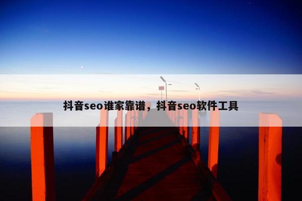 抖音seo谁家靠谱，抖音seo软件工具