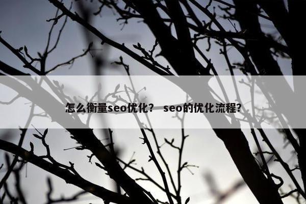 怎么衡量seo优化？ seo的优化流程？