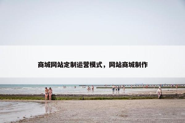 商城网站定制运营模式，网站商城制作