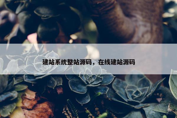 建站系统整站源码，在线建站源码