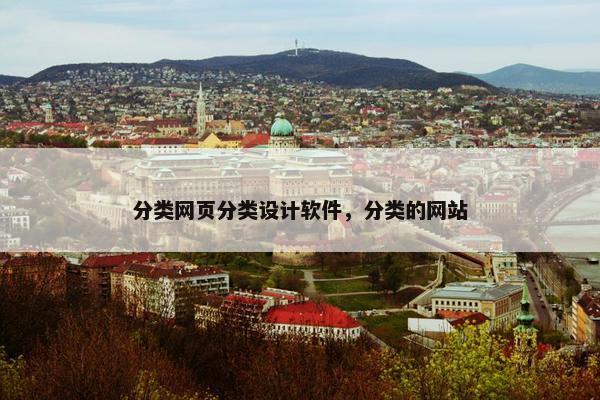 分类网页分类设计软件，分类的网站