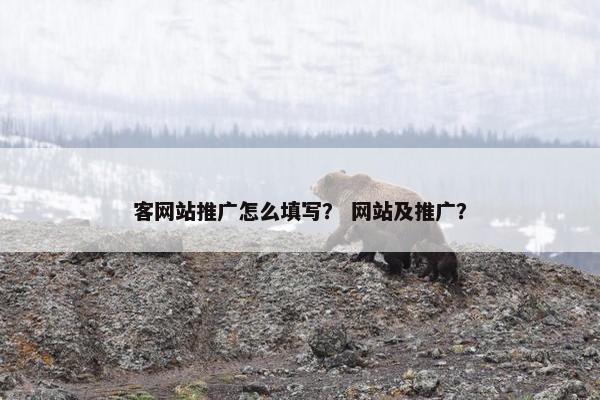 客网站推广怎么填写？ 网站及推广？