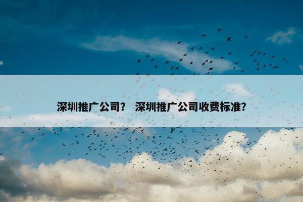 深圳推广公司？ 深圳推广公司收费标准？