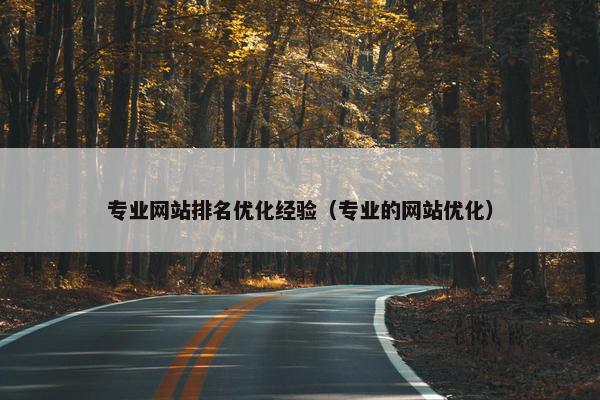 专业网站排名优化经验（专业的网站优化）