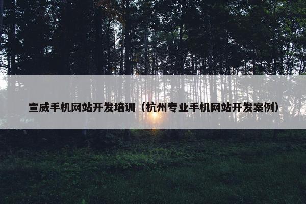 宣威手机网站开发培训（杭州专业手机网站开发案例）