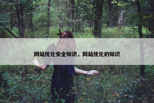 网站优化安全知识，网站优化的知识