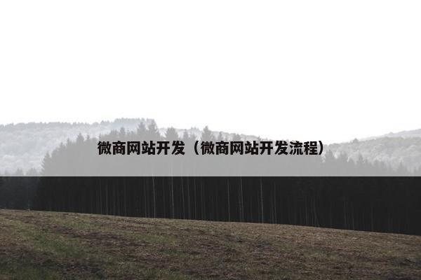微商网站开发（微商网站开发流程）