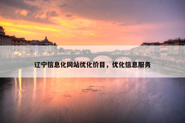 辽宁信息化网站优化价目，优化信息服务