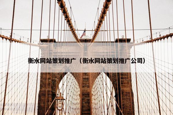 衡水网站策划推广（衡水网站策划推广公司）