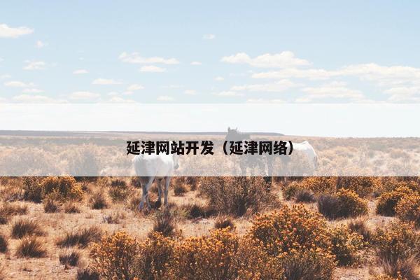 延津网站开发（延津网络）