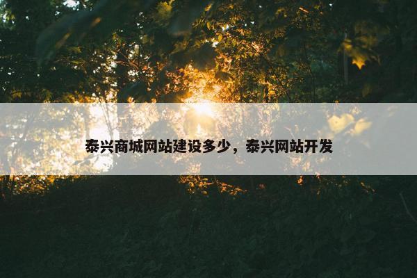泰兴商城网站建设多少，泰兴网站开发