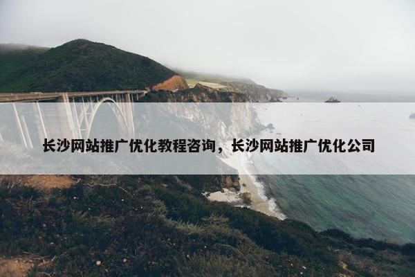长沙网站推广优化教程咨询，长沙网站推广优化公司