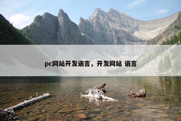 pc网站开发语言，开发网站 语言