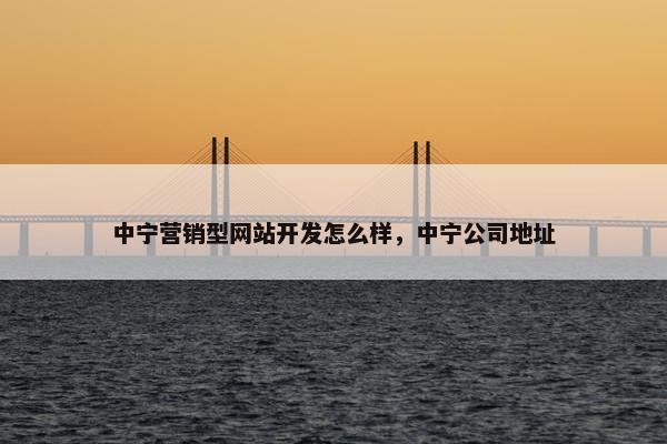 中宁营销型网站开发怎么样，中宁公司地址