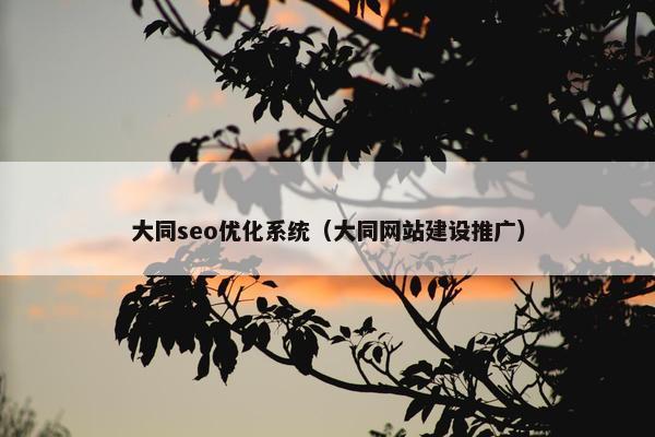 大同seo优化系统（大同网站建设推广）