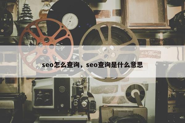 seo怎么查询，seo查询是什么意思