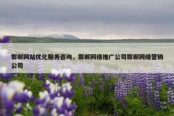 邯郸网站优化服务咨询，邯郸网络推广公司邯郸网络营销公司