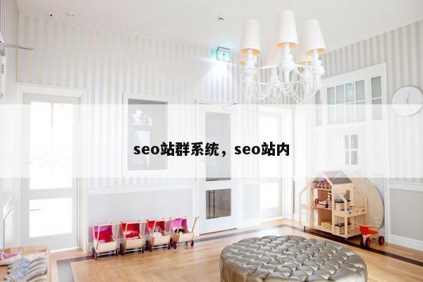 seo站群系统，seo站内