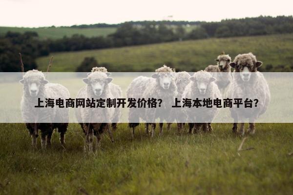 上海电商网站定制开发价格？ 上海本地电商平台？