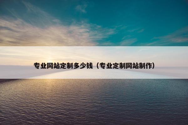 专业网站定制多少钱（专业定制网站制作）