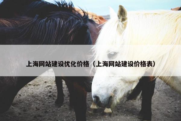 上海网站建设优化价格（上海网站建设价格表）
