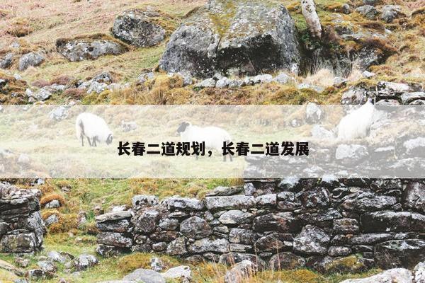 长春二道规划，长春二道发展