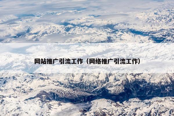 网站推广引流工作（网络推广引流工作）