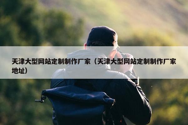 天津大型网站定制制作厂家（天津大型网站定制制作厂家地址）