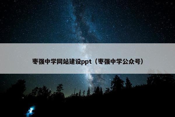 枣强中学网站建设ppt（枣强中学公众号）