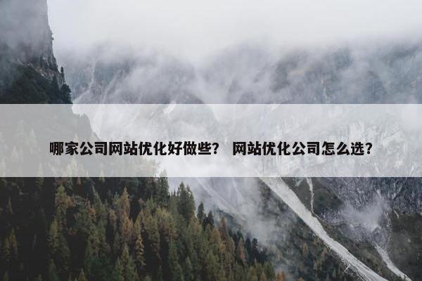 哪家公司网站优化好做些？ 网站优化公司怎么选？