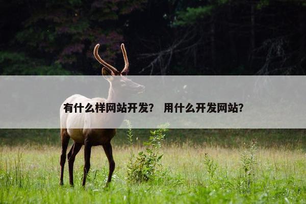 有什么样网站开发？ 用什么开发网站？
