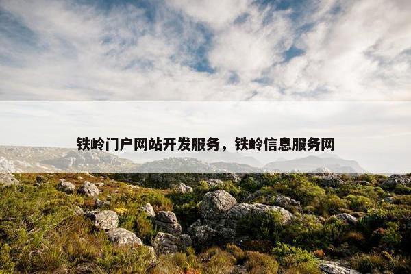 铁岭门户网站开发服务，铁岭信息服务网