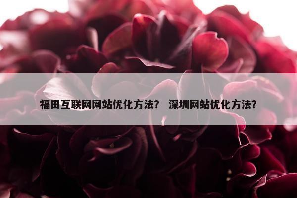 福田互联网网站优化方法？ 深圳网站优化方法？