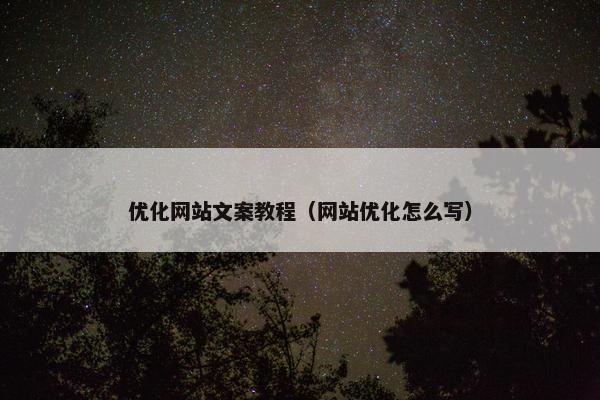 优化网站文案教程（网站优化怎么写）