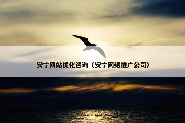 安宁网站优化咨询（安宁网络推广公司）